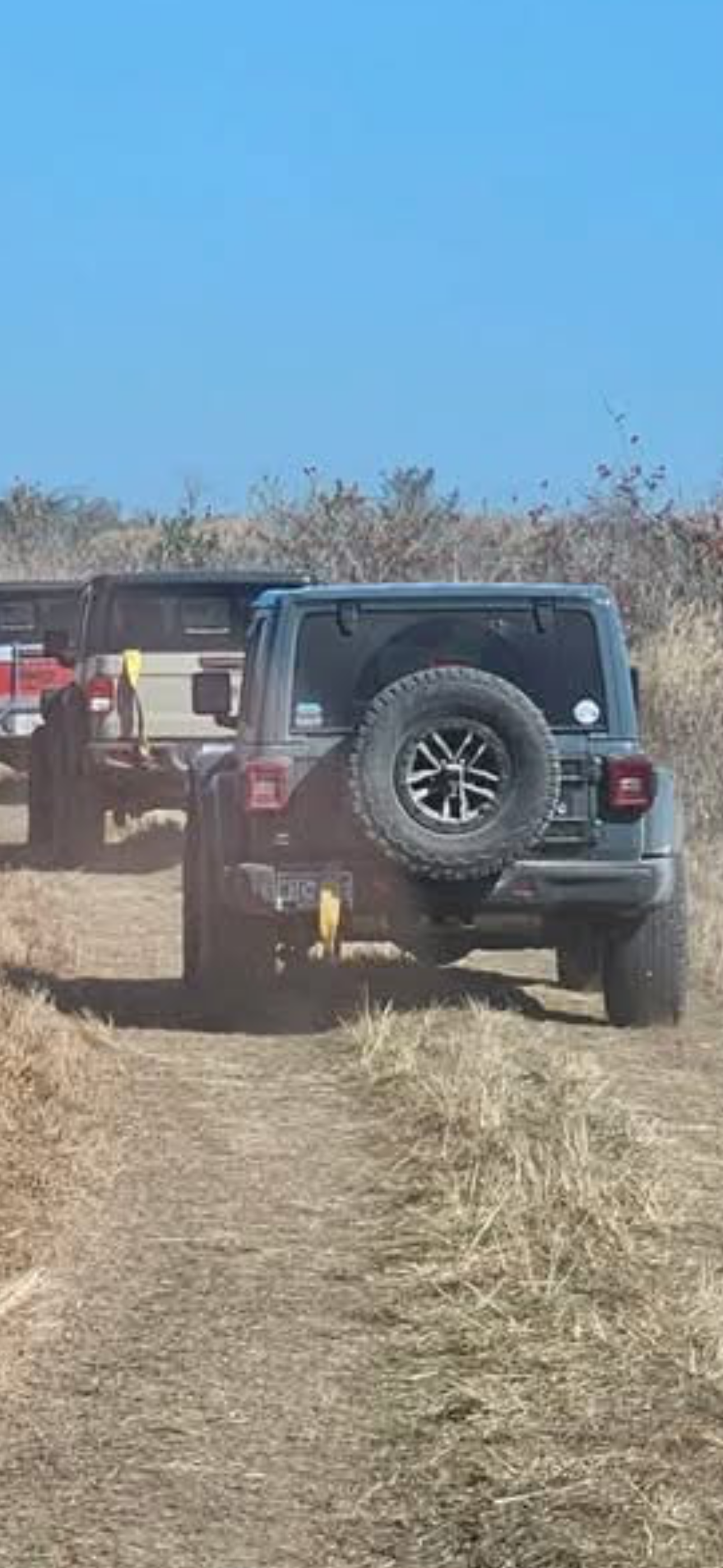 Clear Springs Cattle Ranch